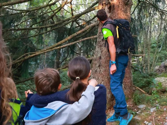 Sortie découverte de la faune et de la flore avec Guide Nature Randonnée