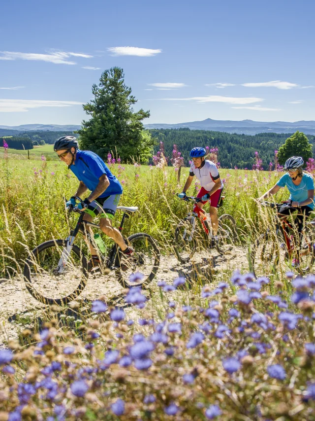 Balade en VTT sur le Haut-Lignon