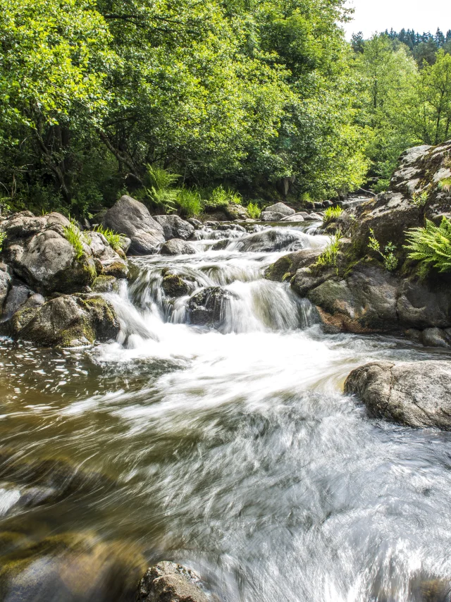 Rivière le Lignon