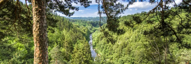 Gorges du Lignon vue depuis la route D103 entre Chambon-sur-Lignon et Tence