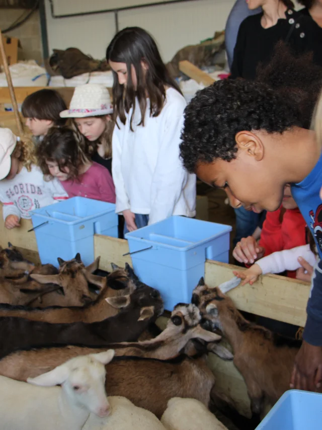 Labergerieduvieuxmoulinenf3