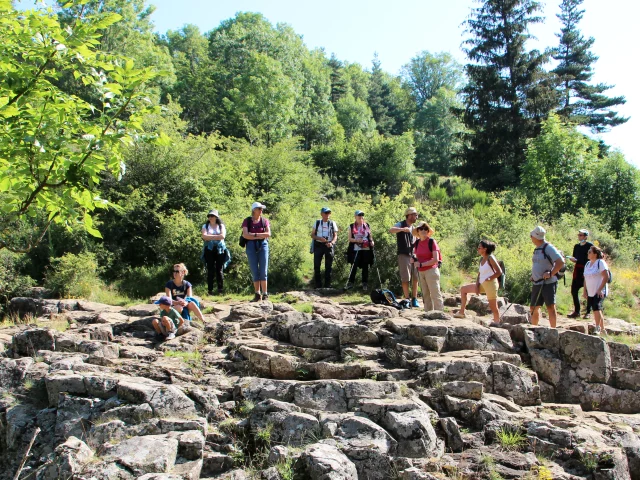 Office De Tourisme Du Haut Lignon Sortie Marmotte