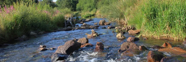 Riviere