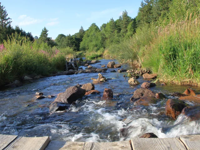 Riviere