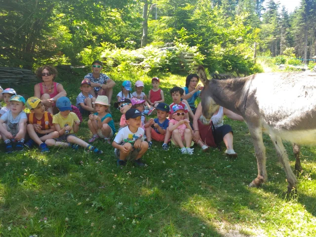 Visite de ferme - Savonnerie De Velay Tence