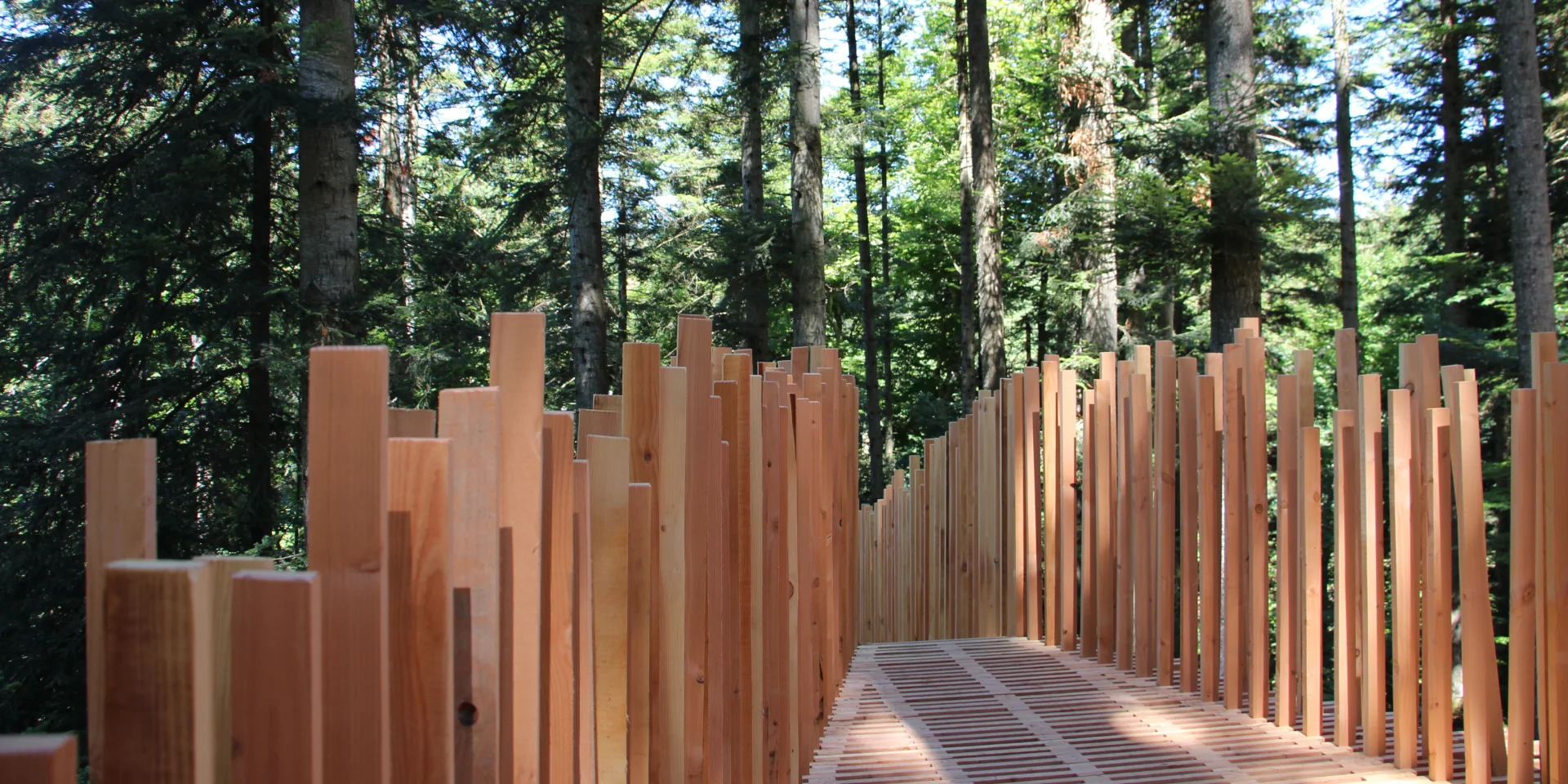 A mi-bois, au bois Lambert