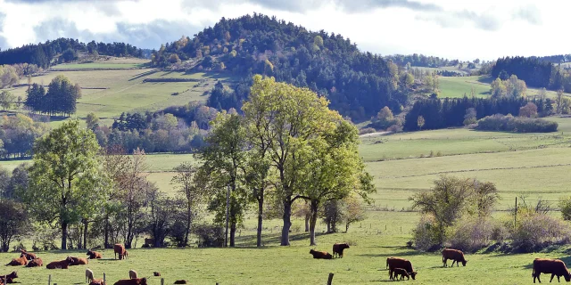 Rte Du Pic De Lizieux