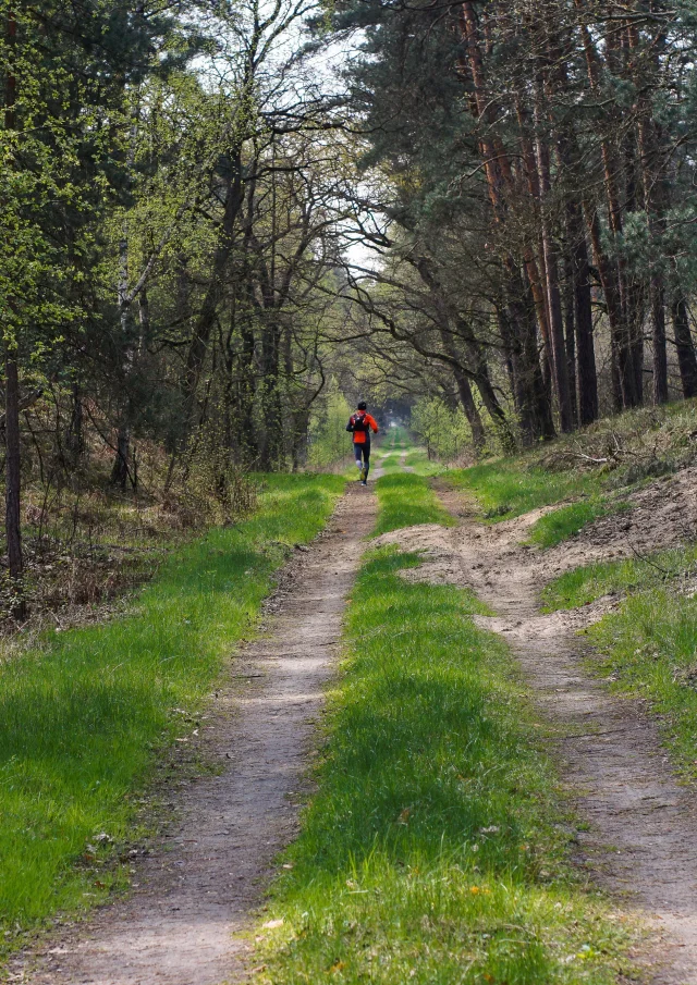 Chemin