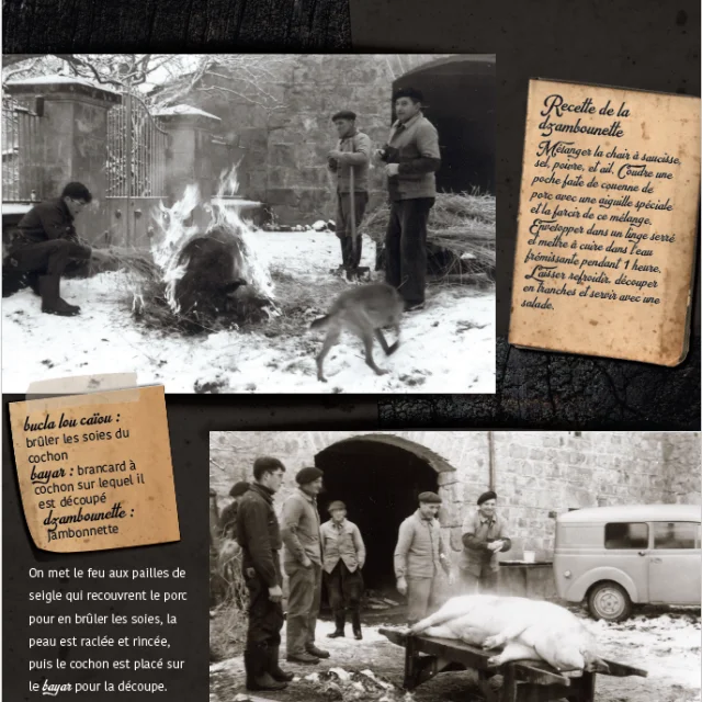 Panneau Tuaille Parcours photographique