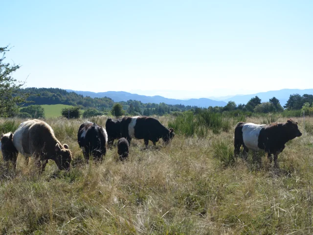 Ferme du grand Freydier