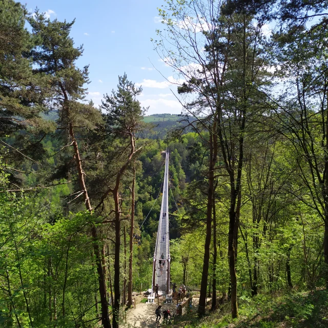 Passerelle Himalayenne