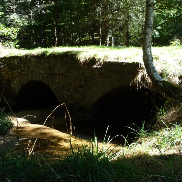 Pont Sur Le Mousse