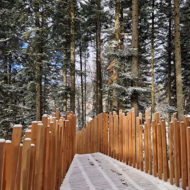 A Mi Bois en hiver sous la neige au bois Lambert