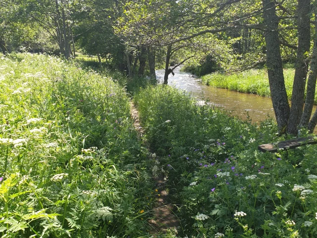 Sentier Concordia