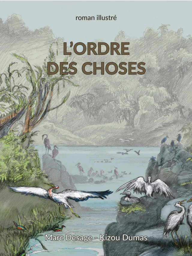 Kizou Dumas : L'ordre Des Choses