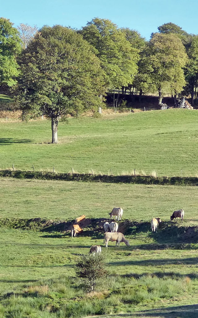 Vers Le Mas De Tence Oct 5, 2023