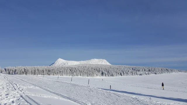 Mézenc depuis la Maison forestière