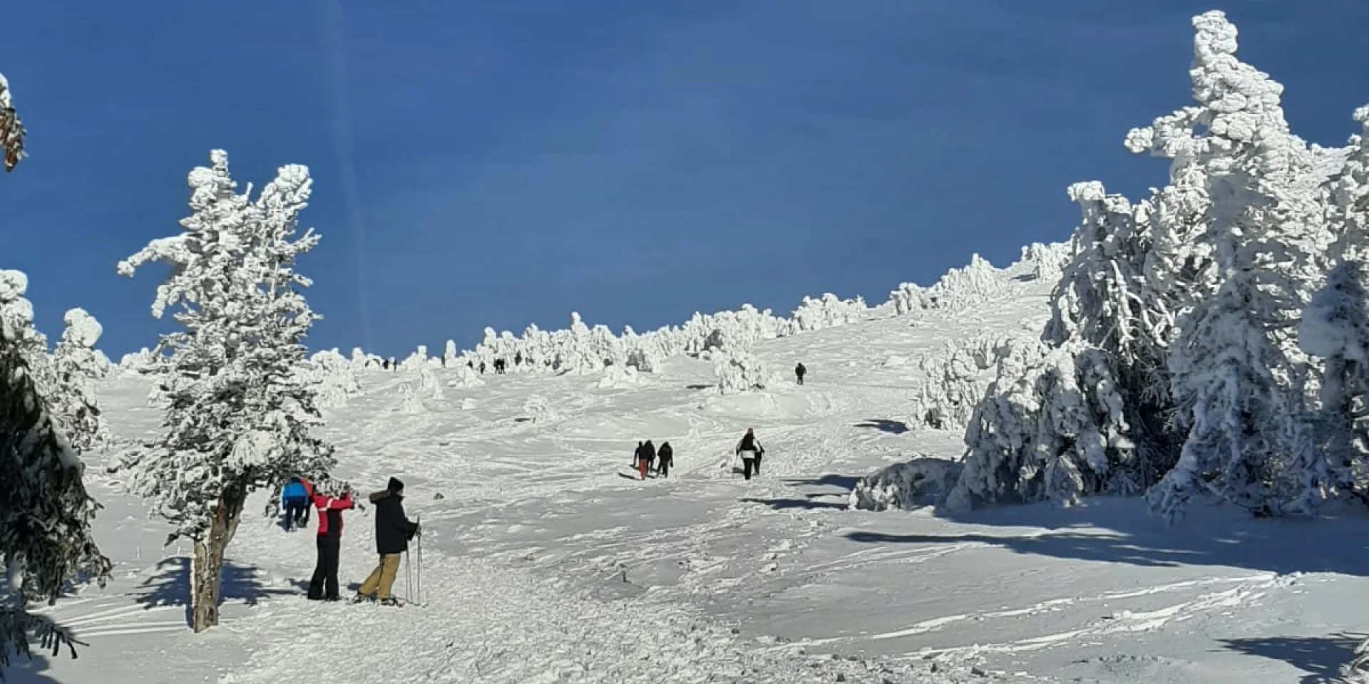 Ascension du Mont Mézenc enneigé