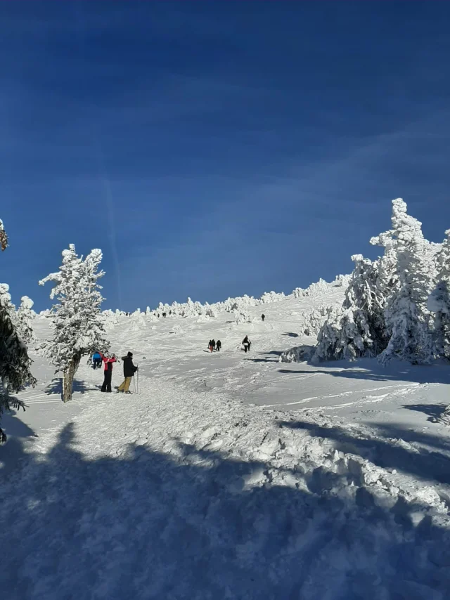 Ascension du Mont Mézenc enneigé