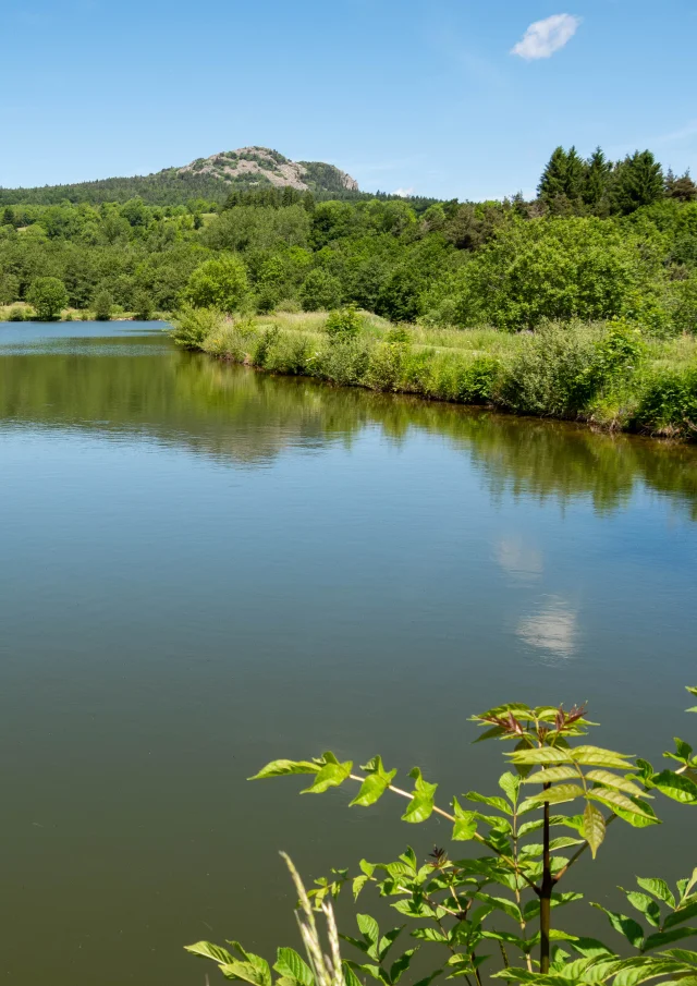 Pic du Lizieux depuis les étangs du Bouchat