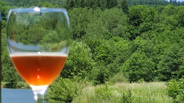 Dégustation de bière Mazesté