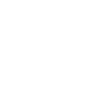 Fork