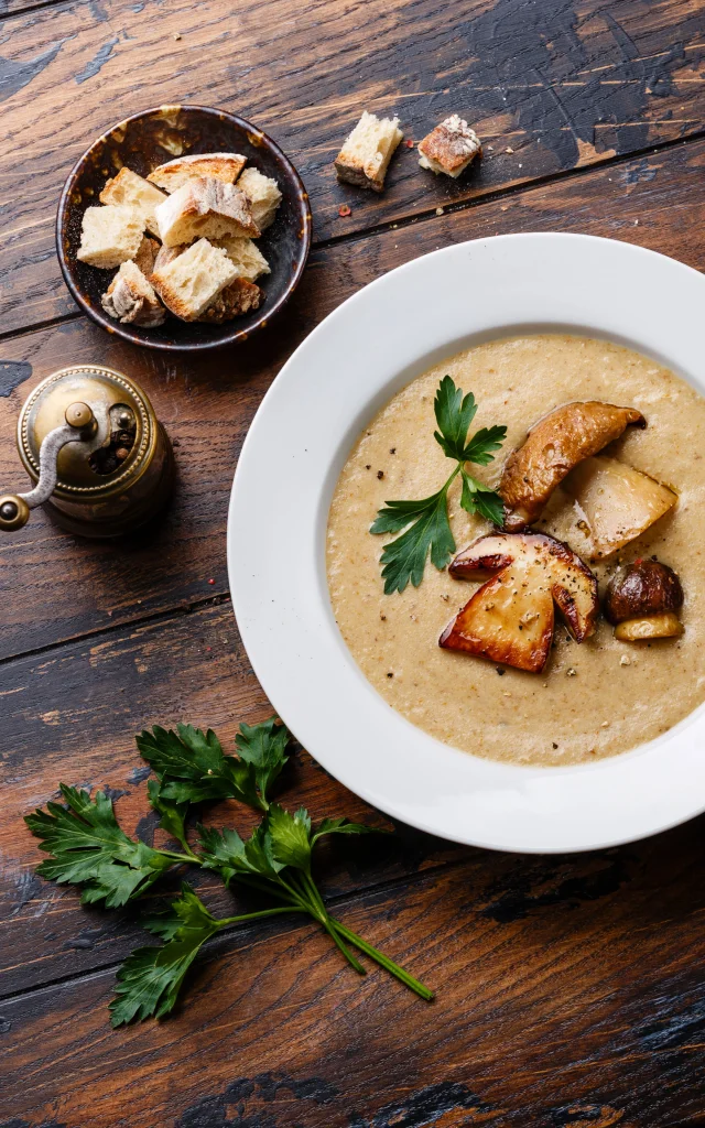 Porcini mushroom soup