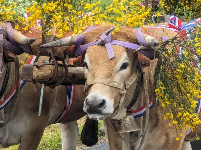 Fête Fin Gras du Mézenc