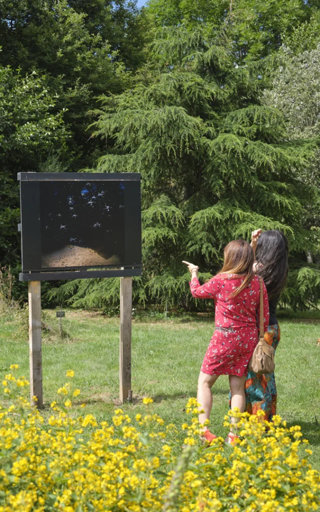 Photographic tour of the botanical garden at Mazet-Saint-Voy
