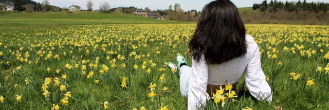 Fille Dans Un Champs De Jonquilles Tence Chloe Ruel
