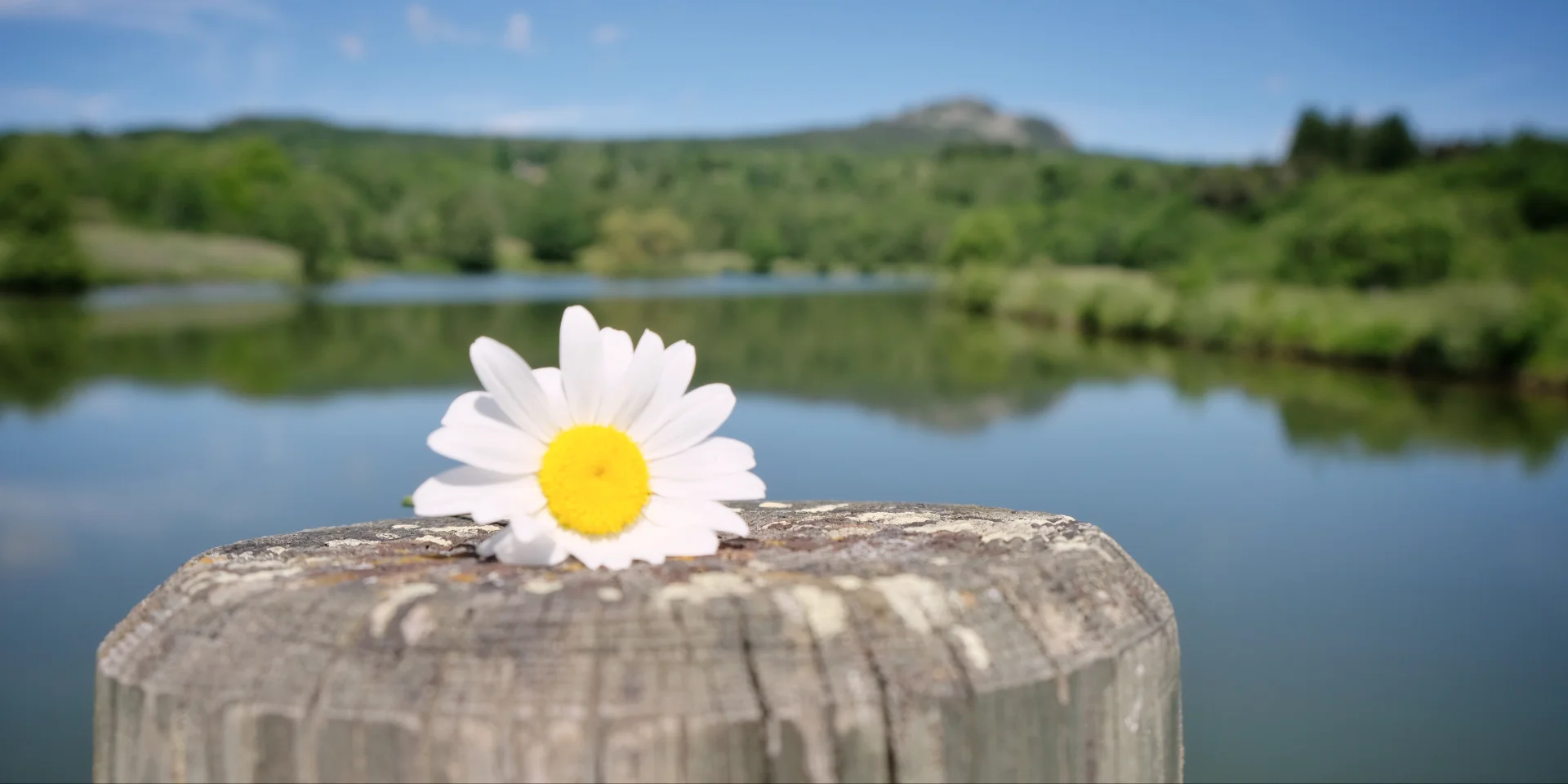 Lizieux au printemps depuis les étangs du Moulin du Bouchat