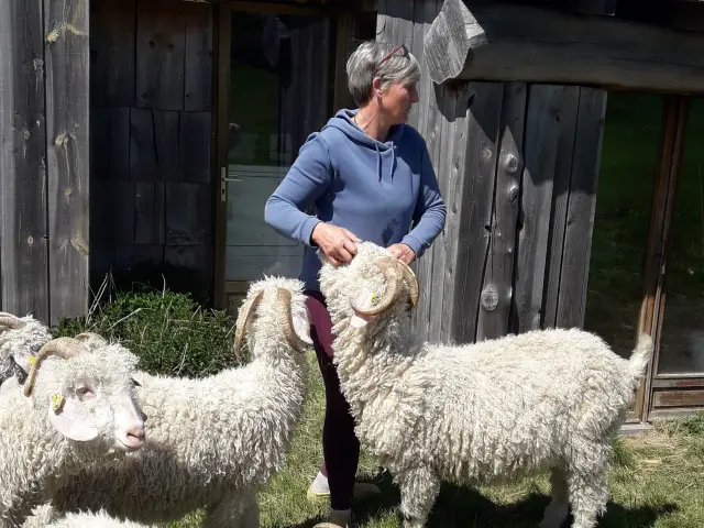 Sonia Bouteiller et les moutons merinos