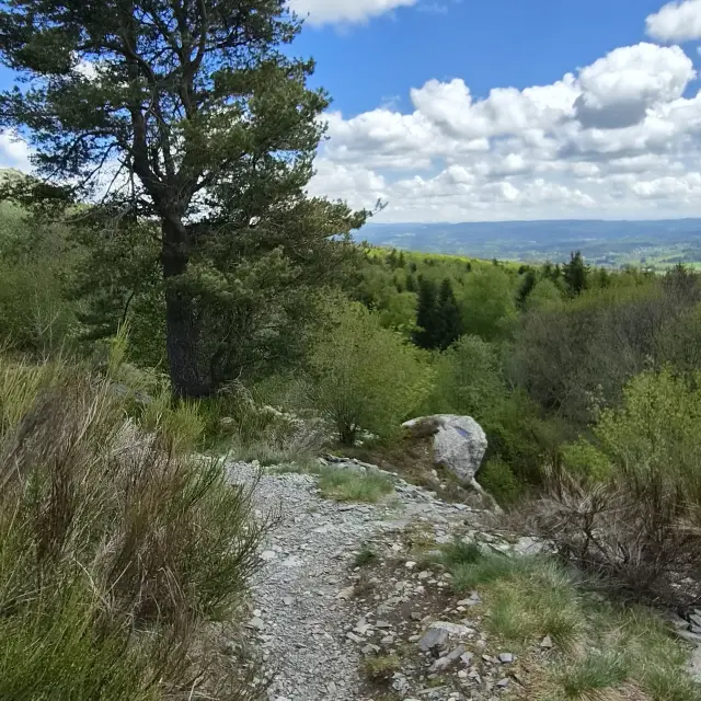 sur le chemin du sentier de Bonas