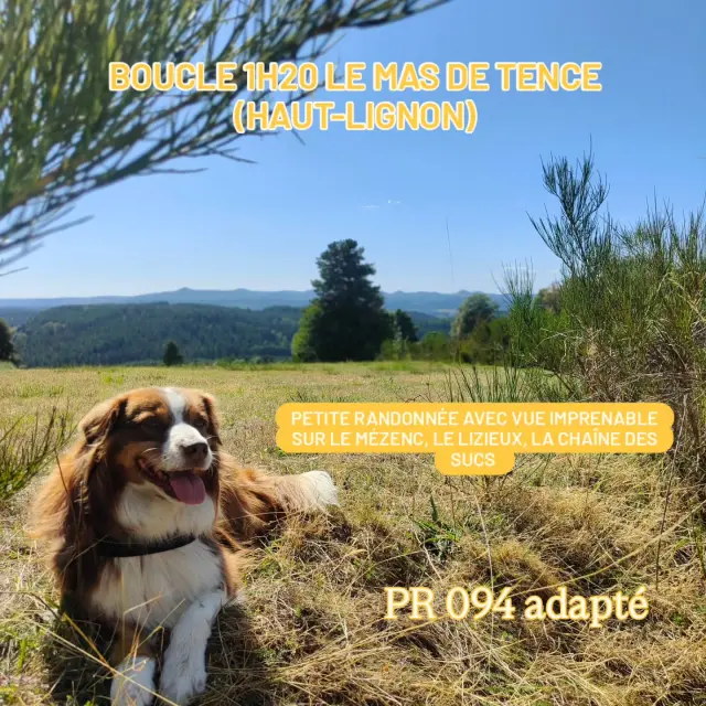 Instagram #hautlignon